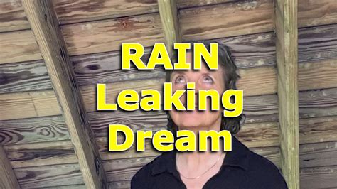 dream roof leaking|Dream of a Roof Leaking (8 Reasons